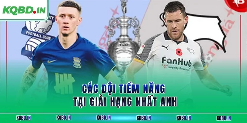 Hạng Nhất Anh 33 Các đội tiềm năng tại giải hạng nhất Anh